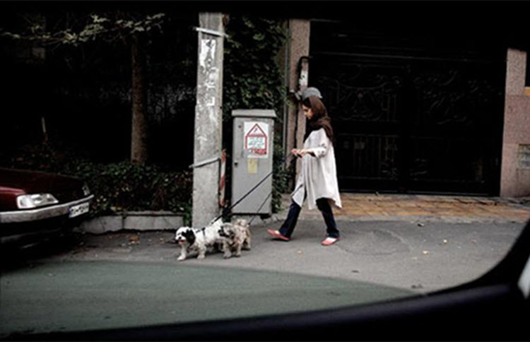 An Iranian woman walks her dogs in Tehran