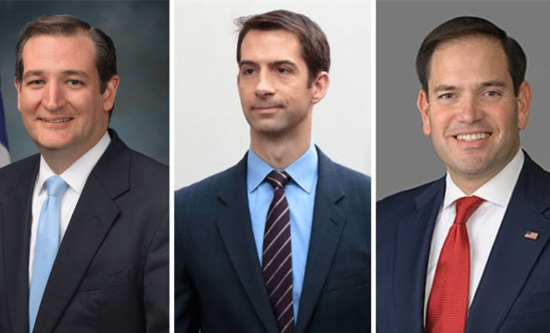 Three Republican Senators Ted Cruz (Texas), Tom Cotton (Arkansas) and Marco Rubio (Florida)