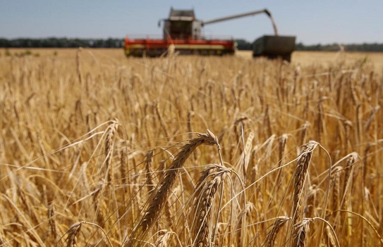 The Iranian authorities’ fake claim of self-sufficiency in wheat production goes along with the other measures of the government and how they have destroyed the Iranian economy