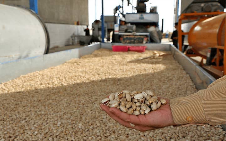 As the coronavirus has swept the country, Iranian pistachio farmers face severe disadvantages