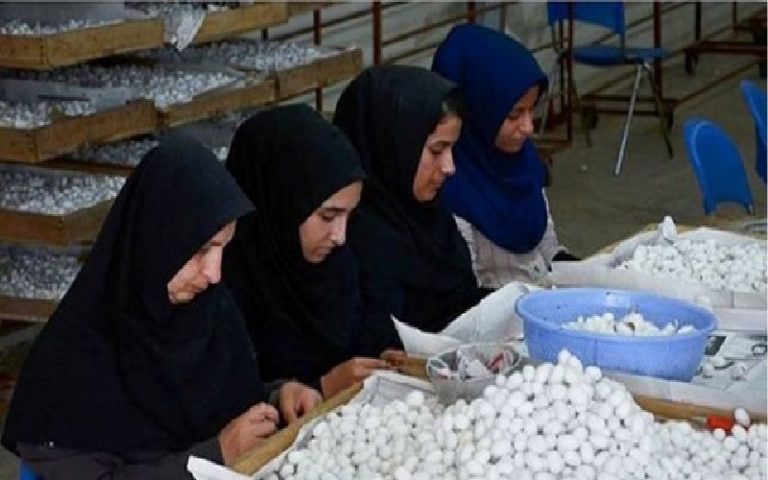 One Million Women Have Become Unemployed in Iran Due to the Coronavirus