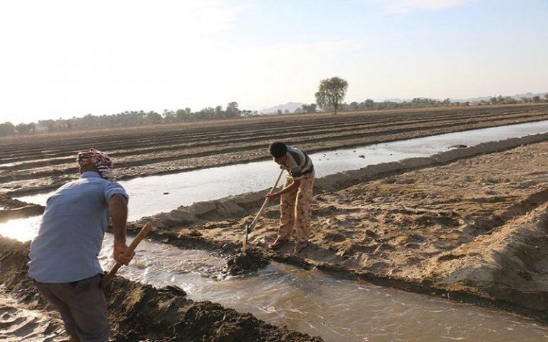 The water shortage crisis in the agricultural sector continues