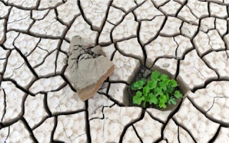 Iran’s Environment Cannot Bear Any More Mistakes