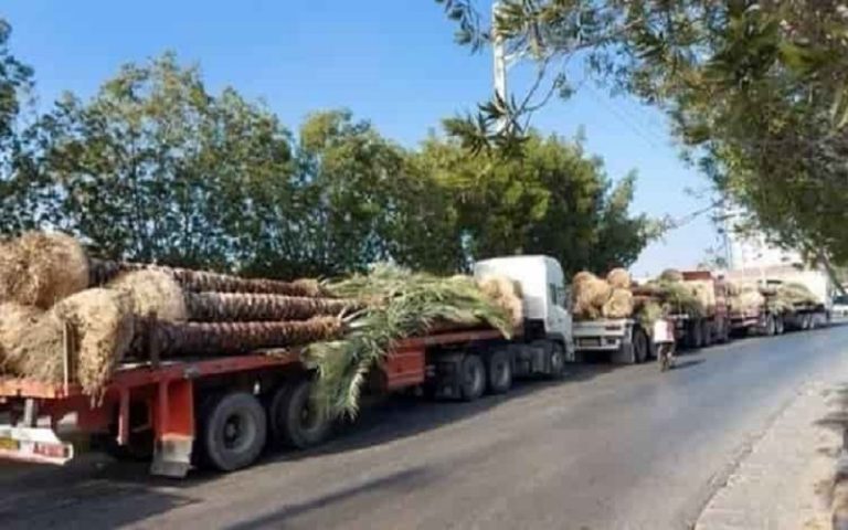 Iran’s government is destroying the country’s ecosystem. From redirecting of the rivers to deforestation and now smuggling the country’s trees.