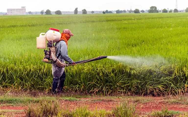 Silent deaths are the result of the so-called pesticides mafia which is operating under the control of Iran’s government.