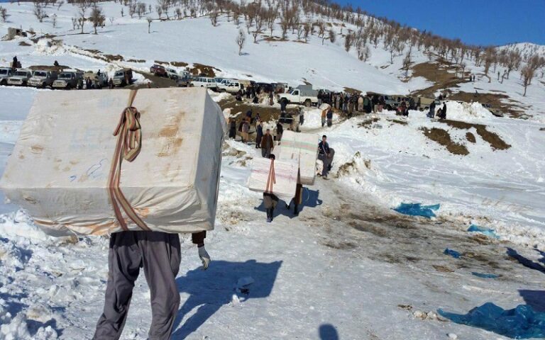 85 Kolbars Injured and Killed in Six Months