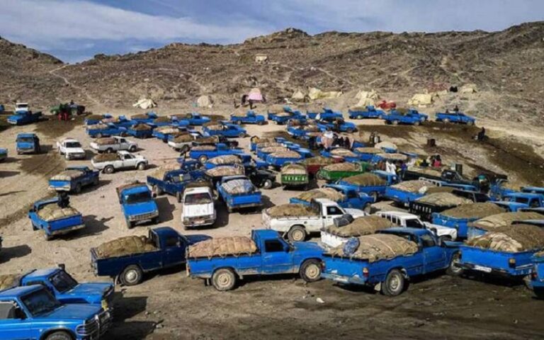 Millions Liters of Gasoline Smuggled Daily in Iran