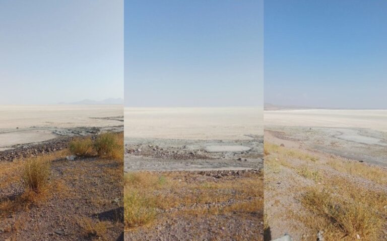 Ecological Collapse of Lake Urmia and the Caspian Sea in Iran