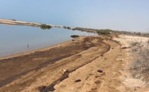 Oil Pollution Reaches the Shores of Persian Gulf