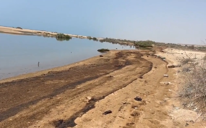 Oil Pollution Reaches the Shores of Persian Gulf